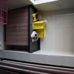 Chinese female suicidal jumper