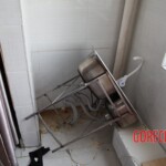 Chinese female suicidal jumper