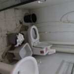 Chinese female suicidal jumper