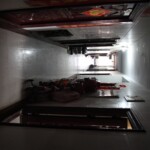 Chinese female suicidal jumper