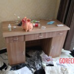 Chinese female suicidal jumper