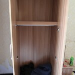 Chinese female suicidal jumper