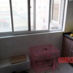 Chinese female suicidal jumper