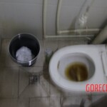 Chinese female suicidal jumper