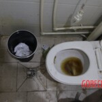 Chinese female suicidal jumper