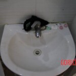 Chinese female suicidal jumper