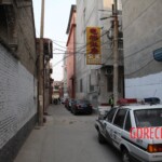 Chinese female suicidal jumper