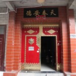 Chinese female suicidal jumper