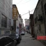 Chinese female suicidal jumper