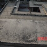 Chinese female suicidal jumper