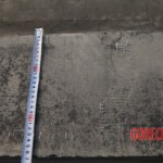 Chinese female suicidal jumper