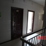 Chinese female suicidal jumper