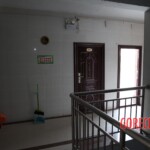 Chinese female suicidal jumper