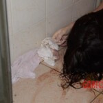 Chinese woman found dead in her apartment