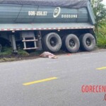 Couple on moped crushed by truck