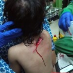 Couple with child fatally attacked by home bulgar