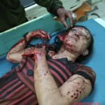 Couple with child fatally attacked by home bulgar