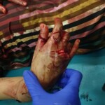 Couple with child fatally attacked by home bulgar