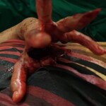 Couple with child fatally attacked by home bulgar