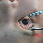 Dead Chinese woman pulled from Hai River