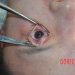 Dead Chinese woman pulled from Hai River