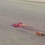 Deadly consequences of motorbike-truck collision