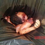 Dismembered male remains found in garbage bag