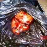 Dismembered male remains found in garbage bag