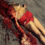 Female pedestrian suffered fatal head injuries after being hit by bus