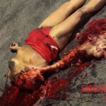 Female pedestrian suffered fatal head injuries after being hit by bus