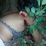 Gangster couple executed by their rivals