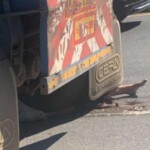 Group of three teenagers crushed by truck