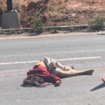 Group of three teenagers crushed by truck