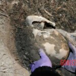 Murder of Paige Birgfeld