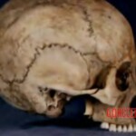 Murder of Paige Birgfeld