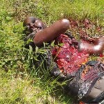 Nigerian committed suicide with grenade