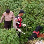 Sicko dismembered his girlfriend into dozens of pieces