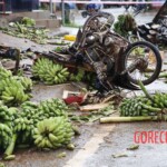 Truck crashed into produce market, killing 3 vendors