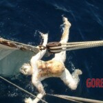 Victims of tsunami in Japan in 2011