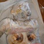 Victims of tsunami in Japan in 2011