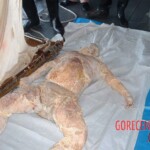 Victims of tsunami in Japan in 2011