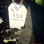 Vietnamese man torn to pieces by train