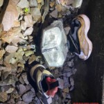 Vietnamese man torn to pieces by train