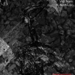 Vietnamese man torn to pieces by train