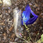 Vietnamese man torn to pieces by train