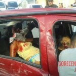 Woman has nearly her entire face torn off after car crash