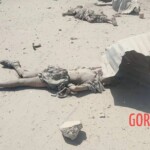 10 dead, 32 injured in bomb explosion in Pakistan