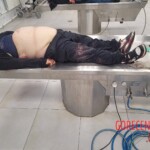 Elderly Russian couple died in bus accident