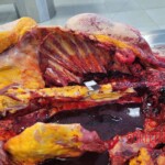 Elderly Russian couple died in bus accident