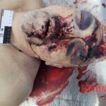 Elderly Russian couple died in bus accident